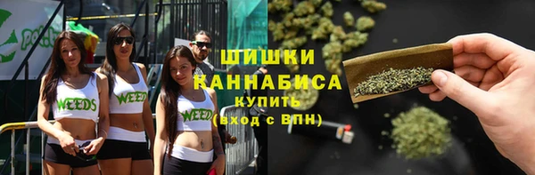молекула духа Няндома