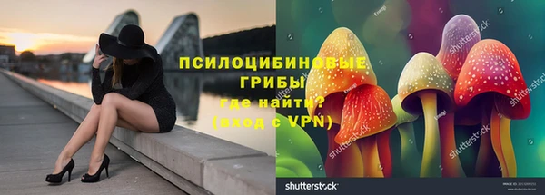 стафф Нягань