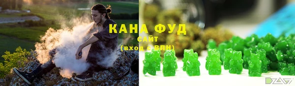 молекула духа Няндома