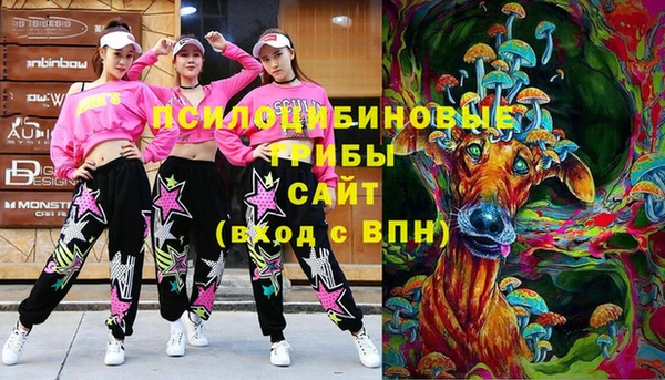 молекула духа Няндома
