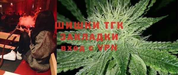 молекула духа Няндома