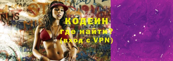 молекула духа Няндома