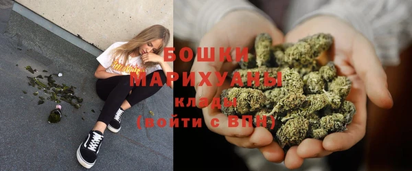 молекула духа Няндома