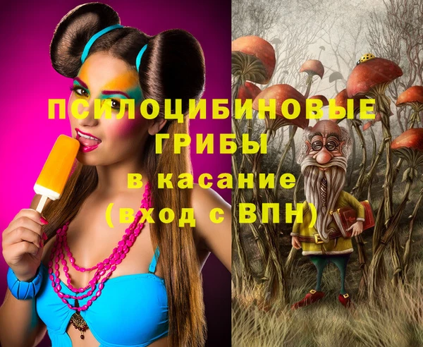 молекула духа Няндома