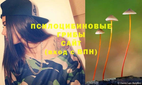 МДПВ Нязепетровск
