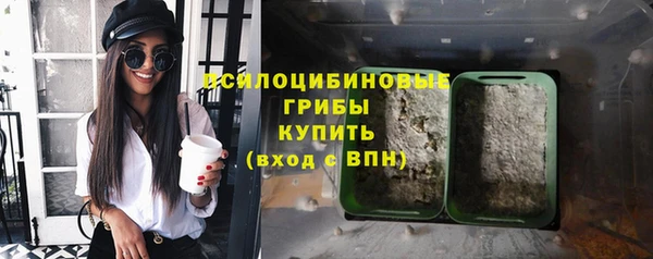 молекула духа Няндома