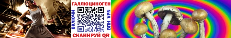 купить сайты Прокопьевск Галлюциногенные грибы Cubensis