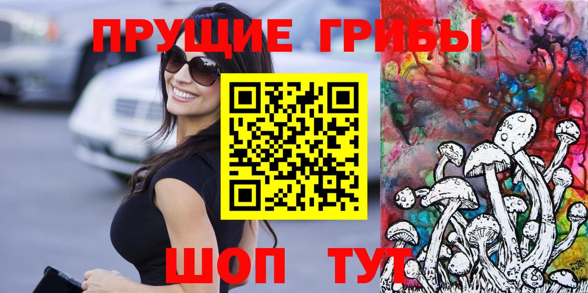 Псилоцибиновые грибы мицелий Прокопьевск