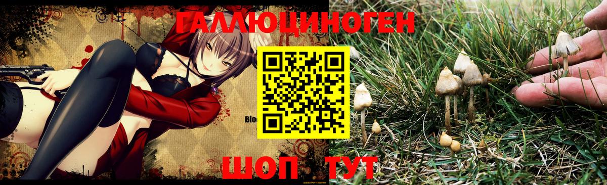 Галлюциногенные грибы прущие грибы  Прокопьевск 