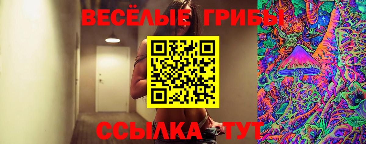 Прокопьевск  Галлюциногенные грибы GOLDEN TEACHER  Вход с VPN 
